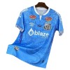 Maillot de Supporter Santos FC Dragon 2025-26 Bleue Pour Homme