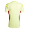 Maillot de Gardien Aston Villa 2025-26 Jaune Pour Homme