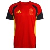 Belgique Maillot d'Entraînement Coupe du Monde 2026 Rouge Pour Enfant