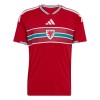 Maillot de Supporter Pays de Galles Domicile Coupe du Monde 2026 Pour Homme Maillot de Supporter Pays de Galles Domicile Coupe du Monde 2026 Pour Homme