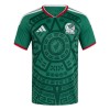 Maillot de Supporter Mexique Domicile Coupe du Monde 2026 Pour Enfant