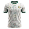 Maillot de Supporter Sénégal Domicile Coupe du Monde 2026 Pour Homme