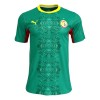 Maillot de Supporter Sénégal Extérieur Coupe du Monde 2026 Pour Homme