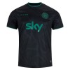 Maillot de Supporter Irlande Special Edition 2025-26 Pour Homme