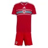 Maillot de Supporter Pays de Galles Domicile Coupe du Monde 2026 Pour Enfant