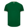 Maillot de Supporter Irlande Domicile 2026-27 Pour Homme