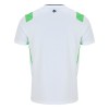 Maillot de Supporter Irlande Extérieur 2026-27 Pour Homme