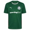 Maillot de Supporter Palmeiras Domicile 2026-27 Pour Homme Maillot de Supporter Palmeiras Domicile 2026-27 Pour Homme