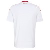 Maillot de Supporter Toronto FC Extérieur 2026 Pour Homme