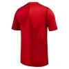 Maillot de Supporter Canada Domicile Coupe du Monde 2026 Pour Homme