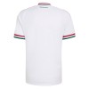 Maillot de Supporter Hongrie Extérieur Coupe du Monde 2026 Pour Homme