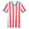 Maillot de Supporter Paraguay Domicile Coupe du Monde 2026 Pour Homme