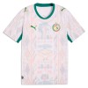 Maillot de Supporter Sénégal Domicile Coupe du Monde 2026 Pour Homme