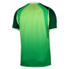 Maillot de Supporter Nigeria Domicile 2026-27 Pour Homme