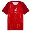 Maillot de Supporter Ghana Pre-Match Coupe du Monde 2026 Pour Homme