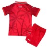 Maillot de Supporter Haiti Troisième Coupe du Monde 2026 Pour Enfant