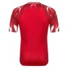 Maillot de Supporter Tunisie Extérieur Coupe du Monde 2026 Pour Homme