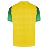 Maillot de Supporter FC Nantes Domicile 2026-27 Pour Homme