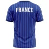 Maillot de Supporter France Pre-Match 2026 Pour Homme
