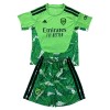 Maillot de Gardien Arsenal 2026-27 Verte Pour Enfant Maillot de Gardien Arsenal 2026-27 Verte Pour Enfant