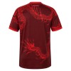 Maillot de Supporter Internacional Troisième 2026-27 Pour Homme