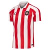 Maillot de Supporter Sunderland Domicile 2026-27 Pour Homme Maillot de Supporter Sunderland Domicile 2026-27 Pour Homme