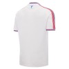 Maillot de Supporter Crystal Palace Domicile 2026-27 Pour Homme