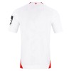 Maillot de Supporter FSV Mainz 05 Extérieur 2026-27 Pour Homme