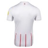 Maillot de Supporter SC Freiburg Extérieur 2026-27 Pour Homme