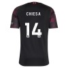 Maillot de Supporter Liverpool Chiesa 14 Troisième 2026-27 Pour Enfant